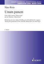 UNUM PANEM