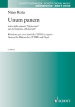 UNUM PANEM