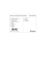 CONCERT OVERTURE OP. 13C MUSIQUE D'ENSEMBLE-ENSEMBLE DE PARTITIONS