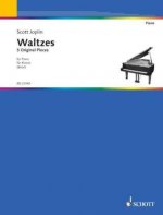 WALTZES PIANO