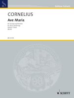 AVE MARIA ORCHESTRE