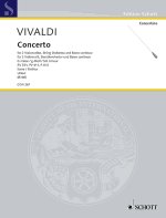 CONCERTO G MINOR RV 531, PV 411, F III/2