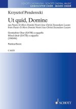 UT QUID, DOMINE