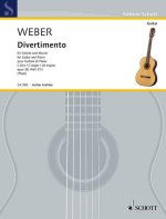 DIVERTIMENTO WEV P.13