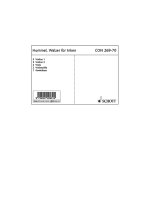 WALZER FUR INKEN -ENSEMBLE DE PARTITIONS