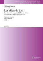 LES EFFETS DU JOUR CHANT