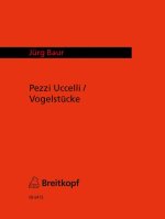 PEZZI UCCELLI FLUTE A BEC