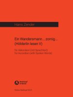 EIN WANDERSMANN...ZORNIG...(HOLDERLIN LESEN V)
