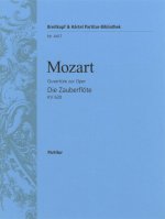 ZAUBERFLOTE KV 620. OUVERTURE ORCHESTRE