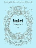 SYMPHONIE 06 C