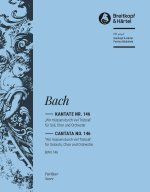 KANTATE 146 WIR MUSSEN DURCH