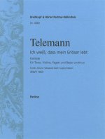 KANTATE 160 ICH WEISS, DASS