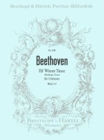 ELF WIENER TANZE WOO 17 ORCHESTRE