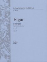 SERENADE E-MOLL OP. 20 ORCHESTRE