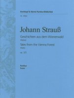 GESCHICHTEN AUS DEM WIENERWALD ORCHESTRE