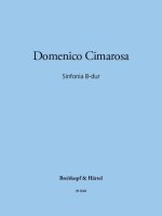 SINFONIA B-DUR ORCHESTRE