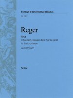 ARIA NACH 