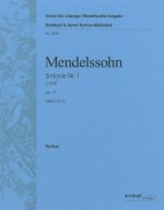 SYMPHONIE NR. 1 C-MOLL OP. 11 ORCHESTRE