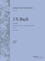 VIOLINKONZERT A-MOLL BWV 1041