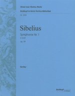 SYMPHONIE NR. 1 E-MOLL OP. 39