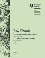AN DER SCHONEN BLAUEN DONAU ORCHESTRE