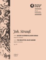 AN DER SCHONEN BLAUEN DONAU ORCHESTRE