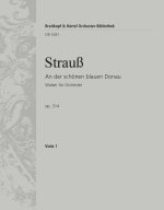AN DER SCHONEN BLAUEN DONAU ORCHESTRE