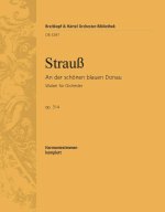 AN DER SCHONEN BLAUEN DONAU ORCHESTRE