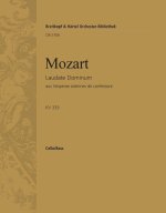 LAUDATE DOMINUM AUS KV 339