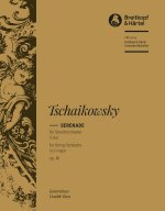 SERENADE C-DUR OP. 48 ORCHESTRE