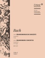 BRANDENBURG. KONZ. 2 F BWV1047 ORCHESTRE