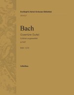 OUVERTURE(SUITE)G-MOLL BWV1070 MUSIQUE D'ENSEMBLE