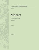 ZAUBERFLOTE KV 620. OUVERTURE ORCHESTRE
