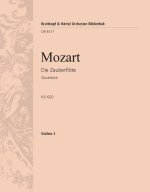 ZAUBERFLOTE KV 620. OUVERTURE ORCHESTRE