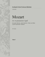 MUSIKALISCHER SPASS KV 522 ORCHESTRE