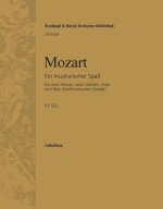 MUSIKALISCHER SPASS KV 522 ORCHESTRE