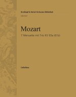 SIEBEN MENUETTE MIT TRIO KV65A MUSIQUE D'ENSEMBLE