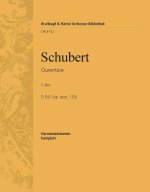 OUVERTURE C-DUR D 591 ORCHESTRE