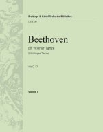 ELF WIENER TANZE WOO 17 ORCHESTRE
