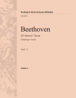 ELF WIENER TANZE WOO 17 ORCHESTRE