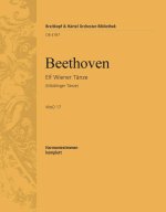ELF WIENER TANZE WOO 17 ORCHESTRE
