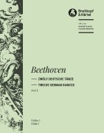 ZWOLF DEUTSCHE TANZE WOO 8 ORCHESTRE