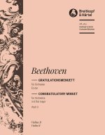 ALLEGRETTO ES-DUR WOO 3 ORCHESTRE