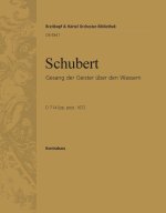 GESANG DER GEISTER D 714