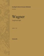 SIEGFRIED-IDYLL ORCHESTRE