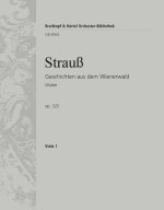 GESCHICHTEN AUS DEM WIENERWALD ORCHESTRE