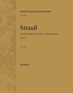 GESCHICHTEN AUS DEM WIENERWALD ORCHESTRE