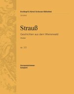 GESCHICHTEN AUS DEM WIENERWALD ORCHESTRE