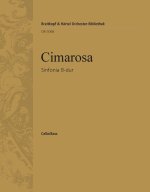 SINFONIA B-DUR ORCHESTRE