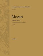 MEISTERMUSIK.REKONSTRUKT.KV477 ORCHESTRE